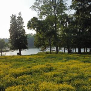 dji_fly_20250429_184654_90_1745967034387