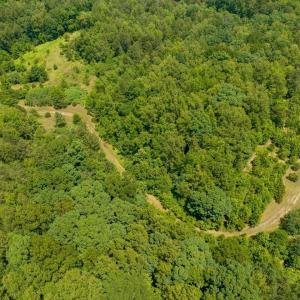15-015-Lot45-LakePointe-20250606