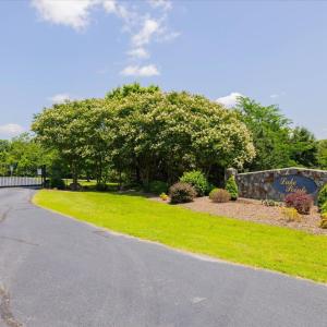 03-003-Lot45-LakePointe-20250606