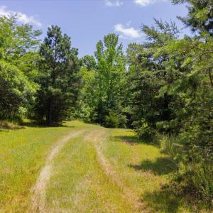 09-009-Lot45-LakePointe-20250606