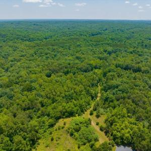 11-011-Lot45-LakePointe-20250606