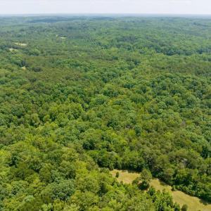 17-017-Lot45-LakePointe-20250606