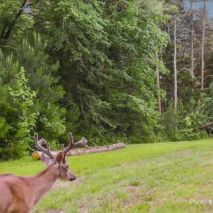 30-030-Lot45-LakePointe-20250609