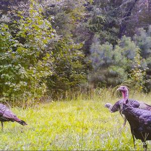 31-031-Lot45-LakePointe-20200831