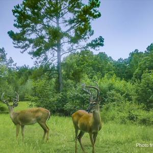 32-032-Lot45-LakePointe-20220821