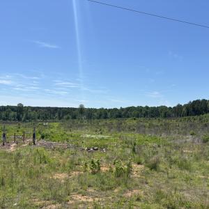 IMG_9469