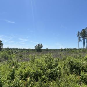 IMG_9473