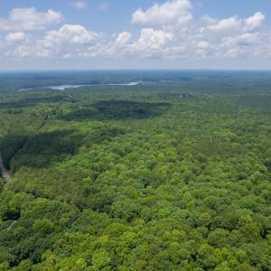 8-web-or-mls-old-weaver-trail