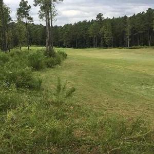 27e1edf3df8a2d97811dae39d8685289-cc_ft_5