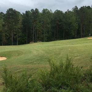 6322271f1dda7cbfb445bfeccf8fdd73-cc_ft_9