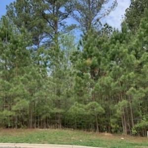 Screen Shot 2025-06-12 at 3.18.49 PM