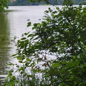 Lot 23 Waterview