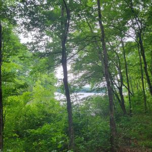 Lot 23 Waterview part 2
