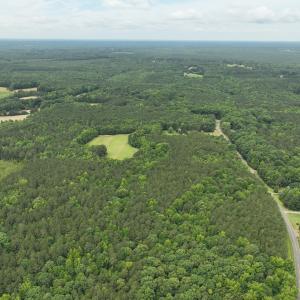 DJI_0231