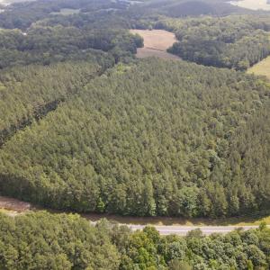 DJI_0493