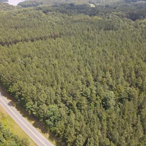 DJI_0494