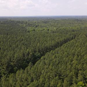 DJI_0499
