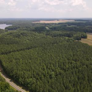 DJI_0495