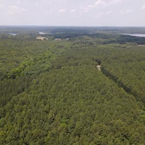DJI_0497