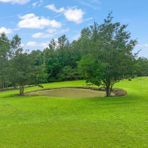 Small Pond
