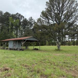 Copy of Copy of IMG_5652