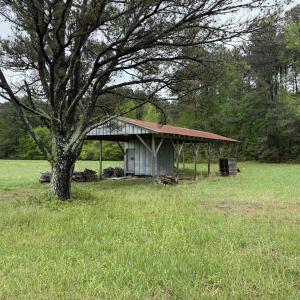 Copy of Copy of IMG_5653