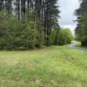 Copy of Copy of IMG_5656