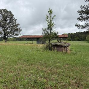 Copy of Copy of IMG_5657