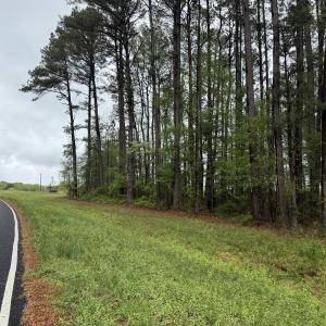 Copy of Copy of IMG_5658