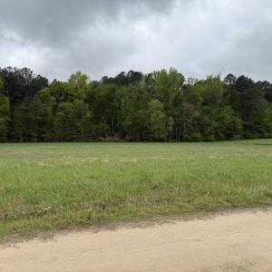 Copy of Copy of IMG_5648