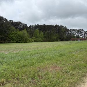 Copy of Copy of IMG_5649