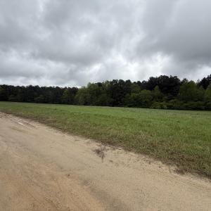 Copy of Copy of IMG_5650