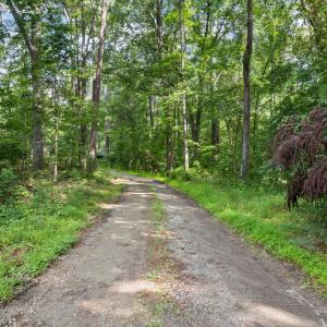 18-web-or-mls-DX3A0627