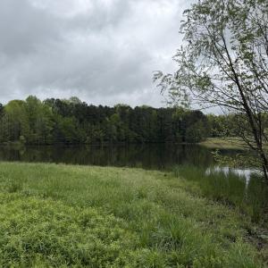 Copy of IMG_5629