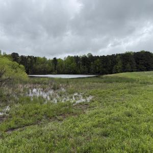 Copy of IMG_5636