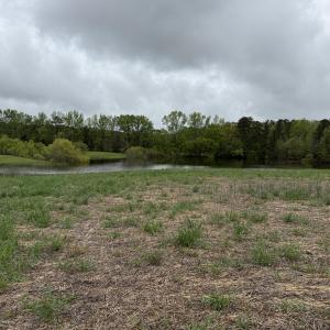 Copy of IMG_5638