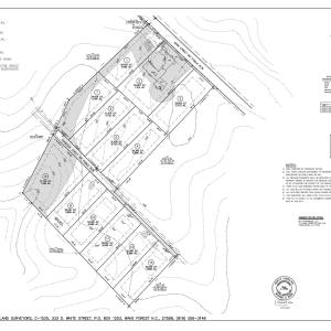 Castalia Site Plan