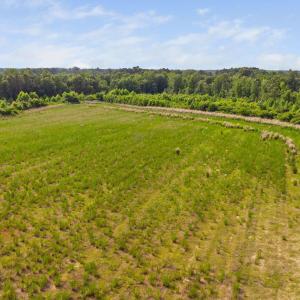 2-web-or-mls-1390-nick-coley-rd