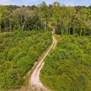 3-web-or-mls-1390-nick-coley-rd