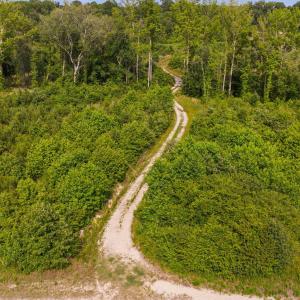 4-web-or-mls-1390-nick-coley-rd