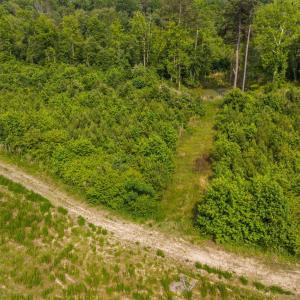 6-web-or-mls-1390-nick-coley-rd