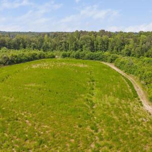 7-web-or-mls-1390-nick-coley-rd