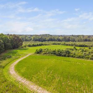 8-web-or-mls-1390-nick-coley-rd