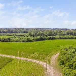 9-web-or-mls-1390-nick-coley-rd