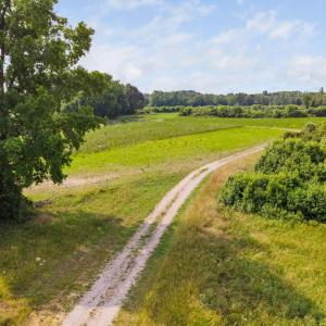 11-web-or-mls-1390-nick-coley-rd