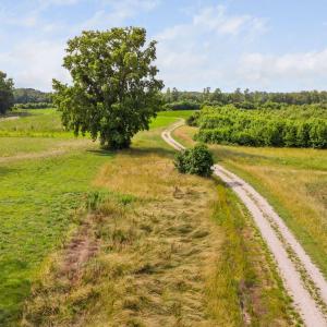 12-web-or-mls-1390-nick-coley-rd