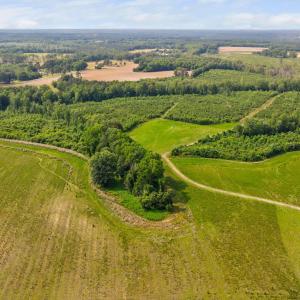13-web-or-mls-1390-nick-coley-rd