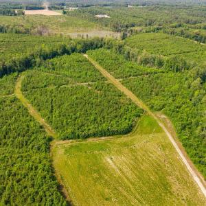 23-web-or-mls-1390-nick-coley-rd