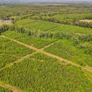 26-web-or-mls-1390-nick-coley-rd
