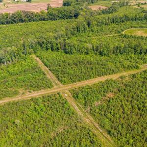 29-web-or-mls-1390-nick-coley-rd